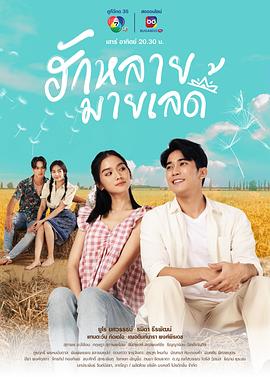 親愛的女士 親愛的女士