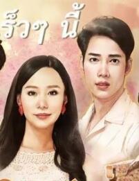 愛的領域 愛的領域