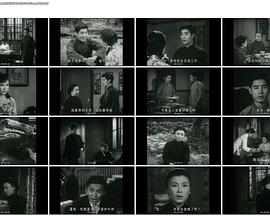 白頭情侶粵語 白頭情侶粵語